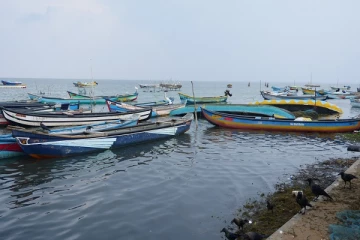 மன்னாரில் மூன்று மீனவர்கள் கைது