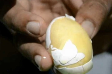 කුණු බිත්තර ගබඩාවක් වටලයි..!