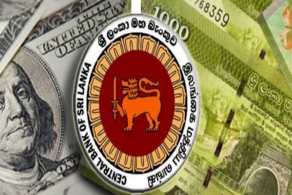 டொலருக்கு எதிராக இலங்கை ரூபாயின் மதிப்பு தொடர்ந்து சரிந்து வருகிறது | Value Of The Rupee Against The Dollar டொலருக்கு எதிராக இலங்கை ரூபாயின் மதிப்பு தொடர்ந்து சரிந்து வருகிறது | Value Of The Rupee Against The Dollar