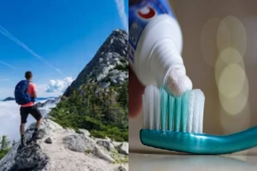 பனி மலையில் சிக்கிய இளைஞர்.. 10 நாட்கள் Tooth Paste சாப்பிட்டு உயிர் தப்பிய சம்பவம்!