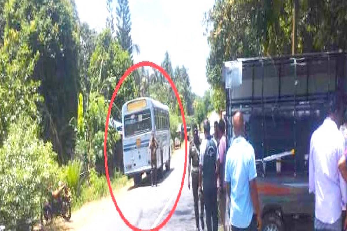 அனுராதபுரத்தில் விபத்து! ஒருவர் பலி: கர்ப்பிணி பெண் உட்பட நால்வர் வைத்தியசாலையில் அனுமதி | Anurathapura Bus Lorry Accident