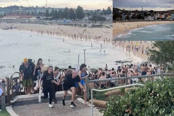 12 killed gun shot in sydney 12 killed gun shot in sydney