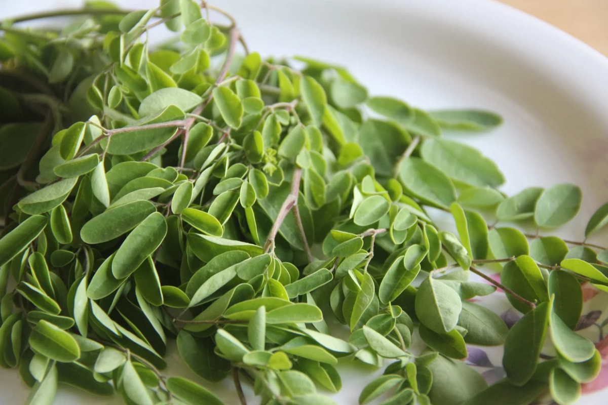 எலும்பை வலுவாக்க உதவும் 5 இயற்கை உணவுகள்.., என்னென்ன தெரியுமா? | 5 Natural Foods That Help Strengthen Bones