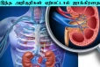 உடம்பில் இந்த மாற்றம் ஏற்படுகின்றதா? அப்போ சிறுநீரகத்தில் பிரச்சினை ஜாக்கிரதை
