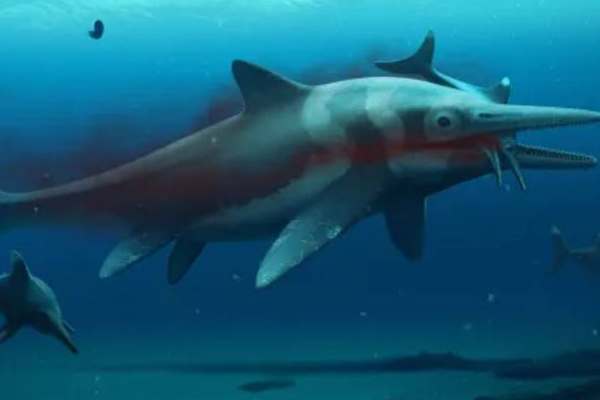 பிரித்தானியாவில் கண்டுபிடிக்கப்பட்ட மிகப்பெரிய ராட்சத கடல் டிராகன்! | Uk Sea Dragon Lchthyosaur Rutland Water Skeleton பிரித்தானியாவில் கண்டுபிடிக்கப்பட்ட மிகப்பெரிய ராட்சத கடல் டிராகன்! | Uk Sea Dragon Lchthyosaur Rutland Water Skeleton