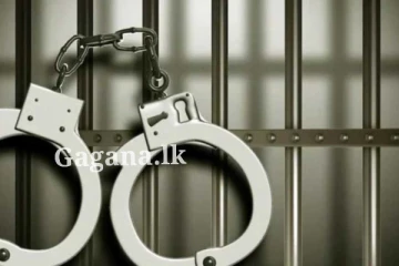 චොරයා අත්අඩංගුවට.