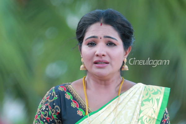 Thangamayil in Pandian Stores 2