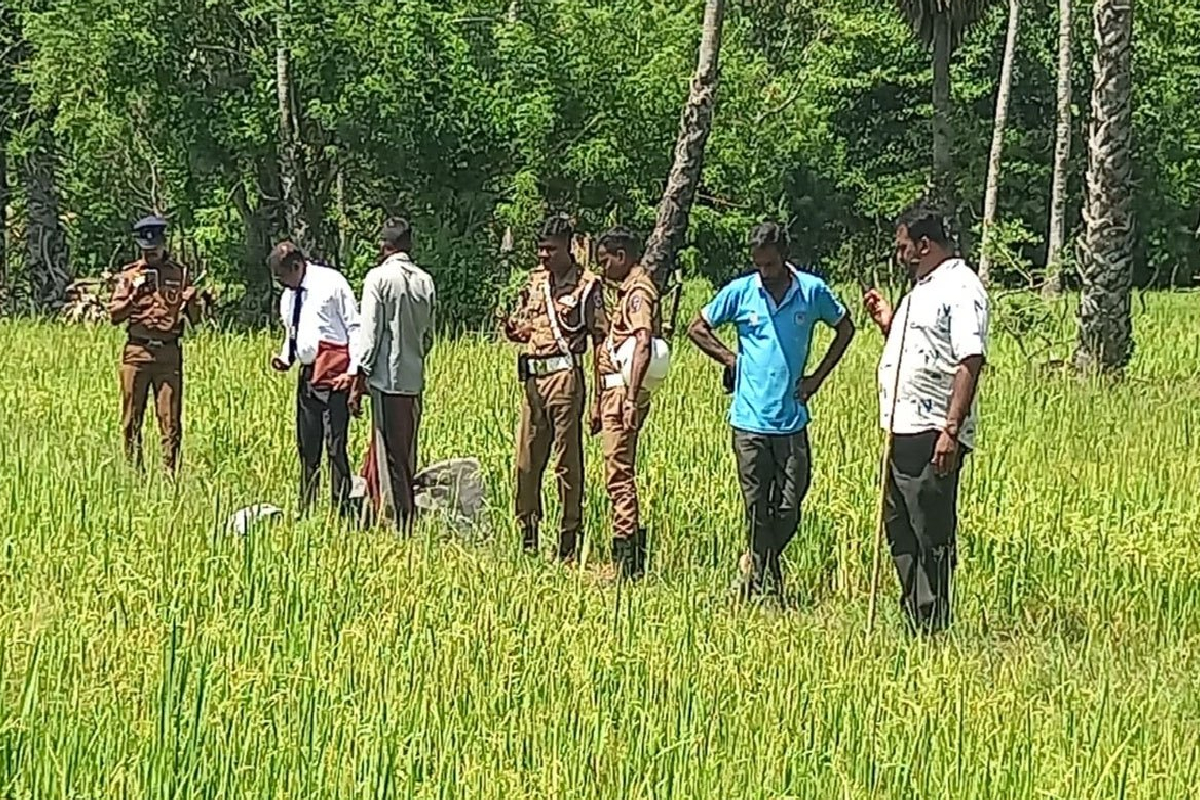 வெல்லாவெளி வயல் நிலத்தில் ஆண் ஒருவரின் சடலம் | Body Of A Man Found In A Paddy Field In Vellaveli வெல்லாவெளி வயல் நிலத்தில் ஆண் ஒருவரின் சடலம் | Body Of A Man Found In A Paddy Field In Vellaveli