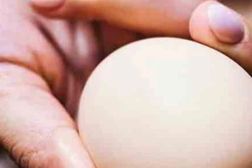 අද එළියට එන බිත්තර සහතිකය