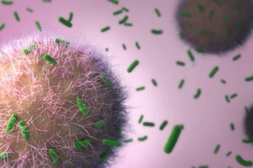 பல ஆண்டுகளுக்குப் பிறகு மீண்டும் பரவும் உயிர்க்கொல்லிநோய்: அதிகம் பாதிக்கப்பட்டுள்ள நாடுகள் எவை தெரியுமா?