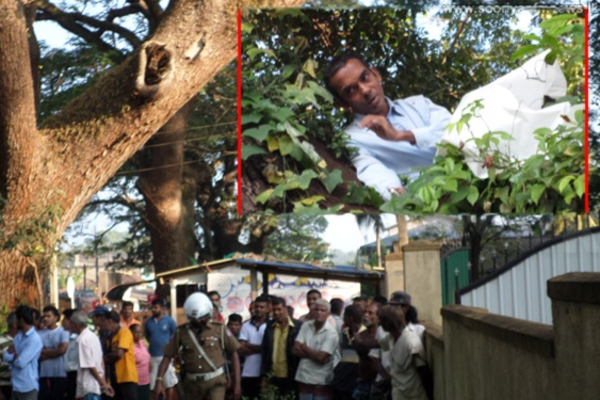 நீதிமன்றத்துக்கு வந்த இளைஞர் மா மரத்தில் ஏறி ஆர்ப்பாட்டம் | Youth Came Court Protest By Climbing A Mango Tree