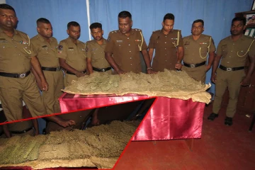 அக்கரைப்பற்றில் இருந்து களுவாஞ்சிக்குடிக்கு கஞ்சா கடத்திய இரு வியாபாரிகள் கைது