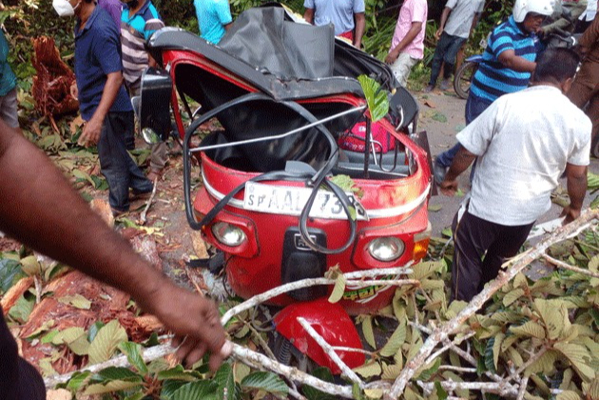 வீயில் பயணித்துக்கொண்டிருந்த ஒரே குடும்பத்தை சேர்ந்த நால்வருக்கு ஏற்பட்ட விபரீதம்! - ஐபிசி தமிழ்