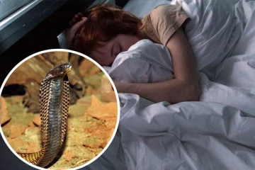 கனவு எப்போது பலிக்கும் ? கடவுள், பாம்பு, யானை, போன்றவை கனவில் வந்தால் என்ன பலன் கிடைக்கும்?