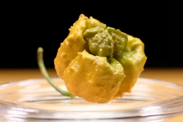 உலகின் மிக காரமான மிளகாய்.. கின்னஸ் உலக சாதனையில் இடம்