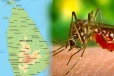தீவிரமடையும் டெங்கு நோய்ப்பரவல்.. 39 பேர் மரணம் - 58 ஆயிரத்தைக் கடந்தது பாதிப்பு