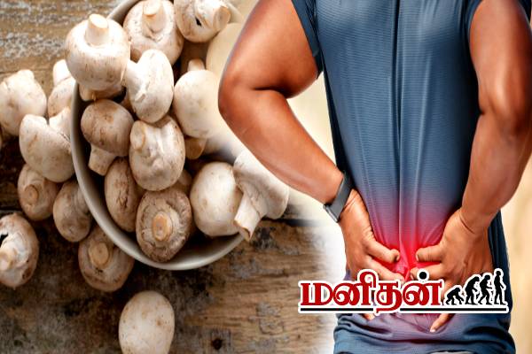 அடிக்கடி Back Pain வருதா? அப்போ இந்த உணவுகளை உடனே நிறுத்துங்க | Back Pain Avoid These Inflammatory Foods In Tamil
