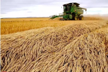 உக்ரைனில் இராணுவத்தை களமிறக்கவுள்ள துருக்கி!