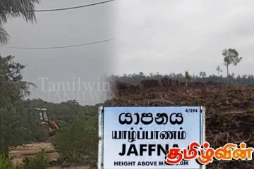 யாழ்.வடமராட்சி செம்பியன்பற்றில் இரவோடு இரவாக காடழிப்பு