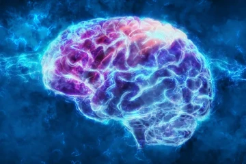 மனித மூளையை மின்னல் வேகத்தில் இயக்கும் சக்திவாய்ந்த 4 உணவு பொருட்கள்!