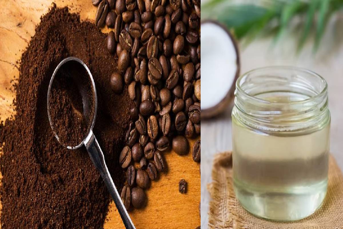 நரைமுடியை கருப்பாக மாற்ற... ஷாம்பூவில் இந்த 2 பொருள் கலந்து குளிங்க | Shampoo Mix Coffee Coconut Oil White Hair Black