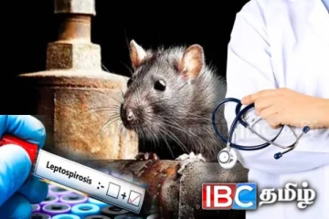 நாட்டில் தீவிரமடையும் மற்றுமொரு நோய்த்தாக்கம் : விடுக்கப்பட்டுள்ள எச்சரிக்கை