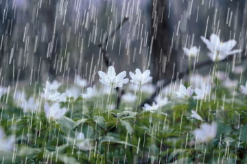 பலத்த மழைவீழ்ச்சிக்கு  வாய்ப்பு!