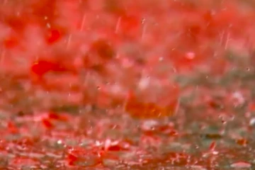 இங்கிலாந்தில் இந்த வாரம் நிகழவுள்ள  அபூர்வ நிகழ்வு