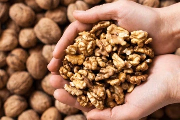 தினமும் வால்நட்ஸை சாப்பிட்டால் ஏராளமான நன்மைகள் கிடைக்குமாம்