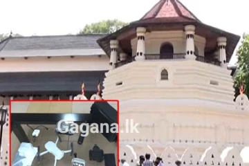 දළදා මාලිගාවට ඉහළින් ඩ්‍රෝන යානාවක් යැවූ විදේශිකයෙකුට අත්වූ ඉරණම..