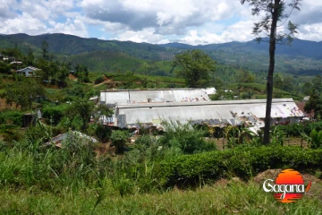 ලිඳුල ගමේ කොටි බියක්