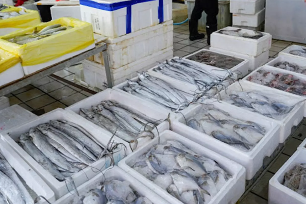 கடல் உணவுகளுக்கு மீண்டும் தடை ; தீவிரமடையும் சீனா - ஜப்பான் மோதல் | Seafood Ban Again China Japan Conflict Intensifies கடல் உணவுகளுக்கு மீண்டும் தடை ; தீவிரமடையும் சீனா - ஜப்பான் மோதல் | Seafood Ban Again China Japan Conflict Intensifies