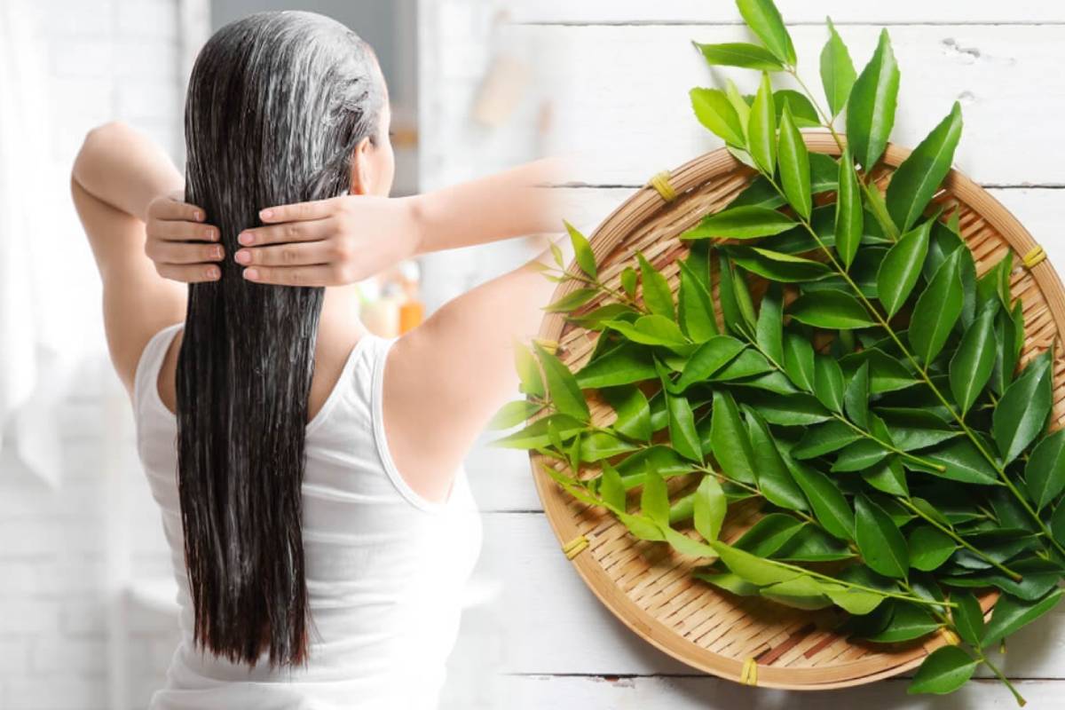 கட்டுக்கடங்காத கூந்தல் வளர்ச்சிக்கு உதவும் கறிவேப்பிலை.., எப்படி பயன்படுத்துவது? | Home Remedies For Hair Growth In Tamil