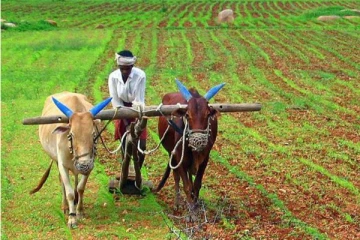 விவசாயிகளுக்கு சுகாதார அமைச்சு விடுத்துள்ள எச்சரிக்கை