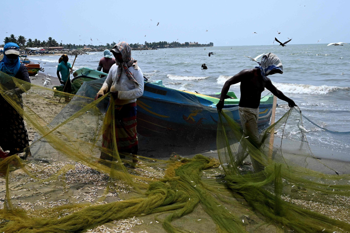 மீன் பற்றாக்குறைக்கு எல் நினோவும் காரணம் | El Ni O Is Also A Reason For The Fish Shortage