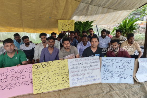 14 ஆவது நாளாக தொடர் சத்தியாக் கிரக போராட்டத்தில் ஈடுபடும் புல்மோட்டை ஊழியர்கள் | Pulmodai Employees Continue Satyagraha Protest 14 ஆவது நாளாக தொடர் சத்தியாக் கிரக போராட்டத்தில் ஈடுபடும் புல்மோட்டை ஊழியர்கள் | Pulmodai Employees Continue Satyagraha Protest