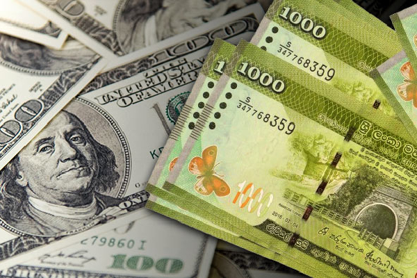 அமெரிக்க டொலர் ஒன்றின் இன்றைய பெறுமதி..! மத்திய வங்கி வெளியிட்ட அறிவித்தல் - ஐபிசி தமிழ்