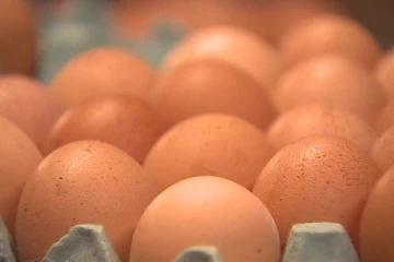 முட்டையை 50 ரூபாவிற்கு மேல் கொள்வனவு செய்யக்கூடாது! வெளியானது அதிரடி அறிவிப்பு