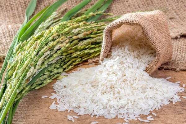 அரிசி தொடர்பில் அரசாங்கம் விடுத்த அறிவிப்பு! | The Government S Rice