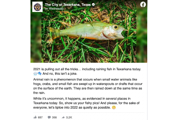 வானில் இருந்து கொட்டி தீர்த்த மீன் மழை.. வியப்பில் மூழ்கிப்போன மக்கள்; எப்படி நடந்தது? | Rained Fishes In Uk City Science Behind Rare