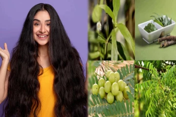 ஆலமர விழுதுபோல் அடர்ந்த கூந்தலுக்கு இந்த 6 ஆயுர்வேத பொருட்கள் போதும்