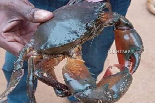 வாகரை - வட்டவானில் கவலையை ஏற்படுத்திய சம்பவம்! அதிர்ச்சி புகைப்படங்கள் | Batticaloa A Worrying Incident In Vakarai