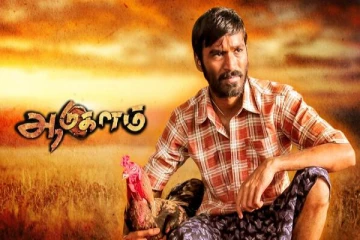 ஆடுகளம் படத்தில் முதன் முதலில் நடிக்கவிருந்த பிரபல நட்சத்திரம்.. யார் தெரியுமா