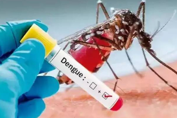 யாழில் திடீரென அதிகரிக்கும் நோயாளர்களின் எண்ணிக்கை! | Dengue Patients Increase In Jaffna Warns