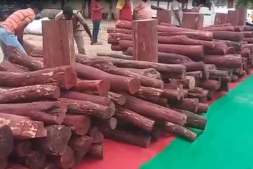 10 கோடி ரூபாய் மதிப்பிலான செம்மரக்கட்டைகள் பறிமுதல்!