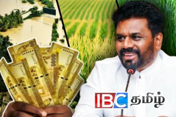 விவசாயிகளுக்கு அநுர அரசு வெளியிட்ட நற்செய்தி