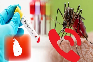 டெங்கு கட்டுப்பாடு தொடர்பில் அறிவிக்க அவசர தொலைபேசி இலக்கம் அறிமுகம்