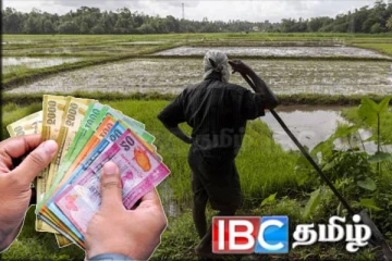 விவசாயிகளின் வங்கிக் கணக்கில் வரவு வைக்கப்பட்ட பணம் : வெளியான நற்செய்தி