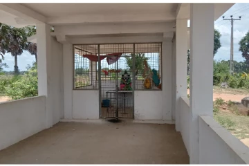 நெல் சேர்த்துக் கட்டிய குமுழமுனை முத்தையன் சந்திப்பிள்ளையார் கோவில்