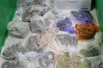 ஜாக்கெட் மற்றும் பேண்ட் பாக்கெட்டில் வைத்து 9 பாம்புகள், 43 பல்லிகள் கடத்தல்! அதிர்ந்து போன பொலிசார்